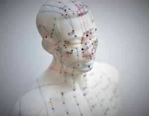 acupuncture model head